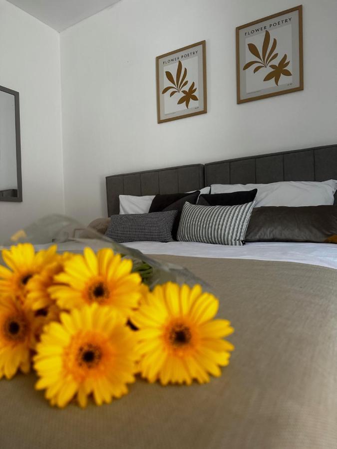 Studio Apartment Lu Rupa Dış mekan fotoğraf